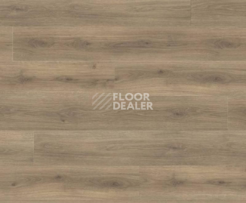Ламинат Haro Tritty 100 Gran Via 4V ДУБ ЭМИЛИЯ БАРХАТ КОРИЧНЕВЫЙ 538771 фото 1 | FLOORDEALER